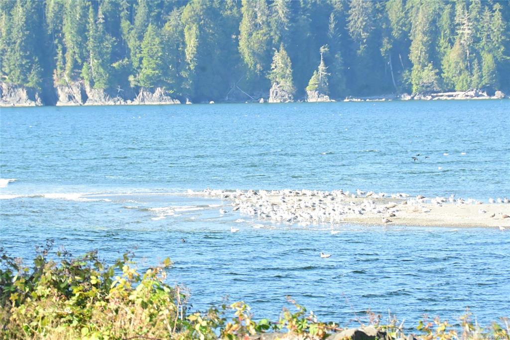 Third View of 16985 Clo Oose Pl, Port Renfrew, BC, V0S 1K0