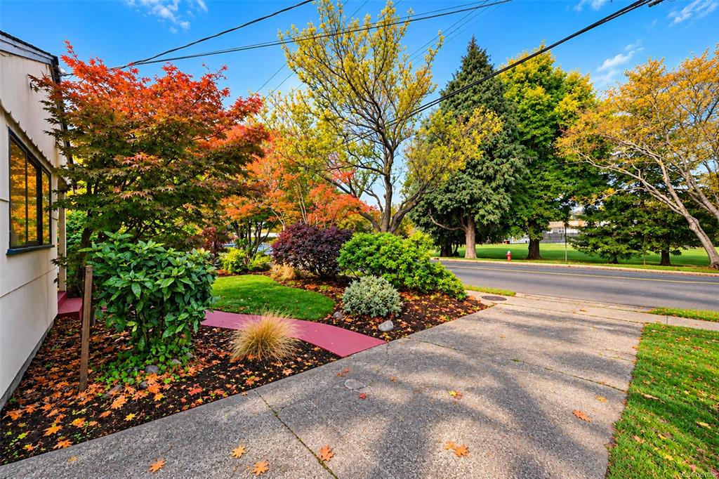 Fourth View of 1635 Fairfield Rd, Victoria, BC, V8S 1G4